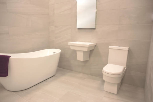 istock Indoor home bathroom for elderly or disabled 1222982153