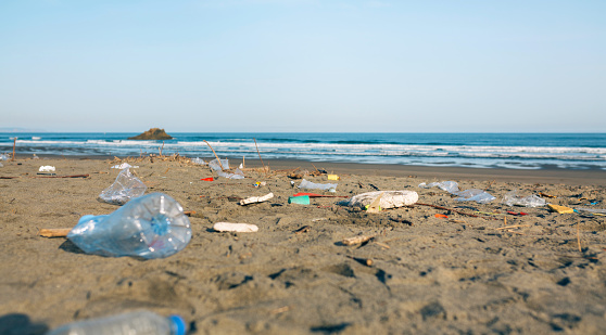 Dirty beach landscape full of waste without people