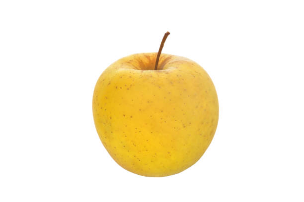 fruit one yellow apple on a white background - artex imagens e fotografias de stock