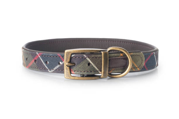 istock Tartan Dog Collar 1222984722
