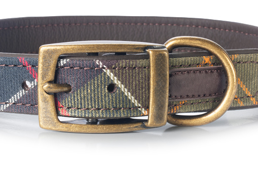 Studio shot of a tartan and leather dog collar cut out against a white background