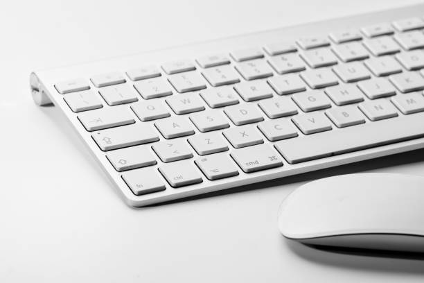istock White mouse and keyboard of a personal computer on a white background 1222989420