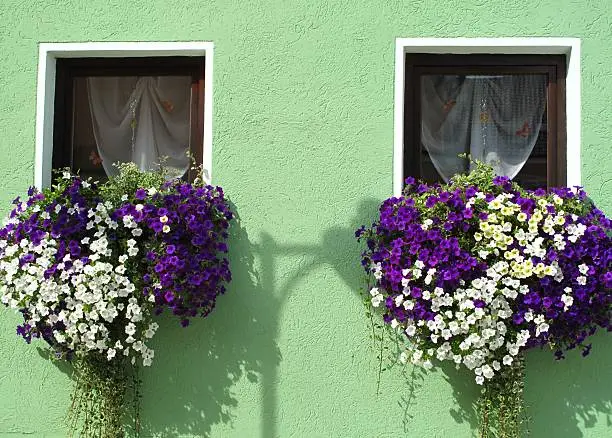 Flowerbox window and green old house