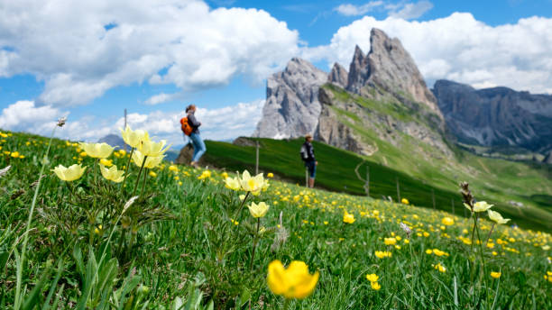 divertimento giallo - hiking mountain dirt scenics foto e immagini stock