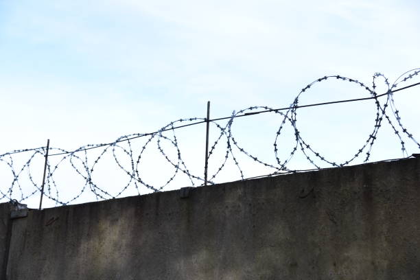 istock Fence with barbed wire against a blue sky background 1222993317