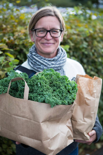 Kale Fresh From Harvest. stock photo
