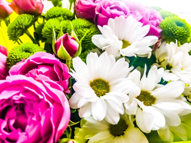 composition with bouquet of flowers - bouquet tulip greeting card gerbera daisy imagens e fotografias de stock
