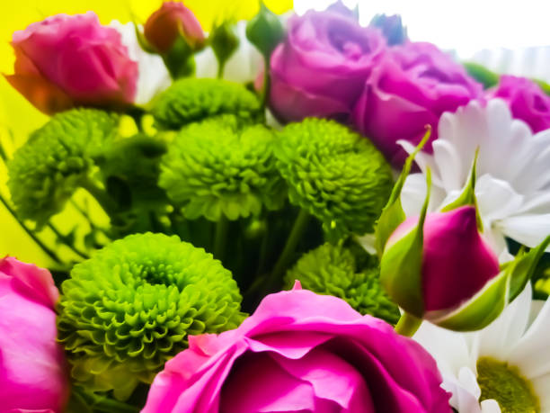 composition with bouquet of flowers - bouquet tulip greeting card gerbera daisy imagens e fotografias de stock