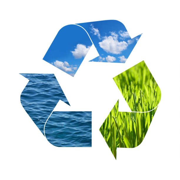 istock Illustration recycling symbol of nature elements 1222998722