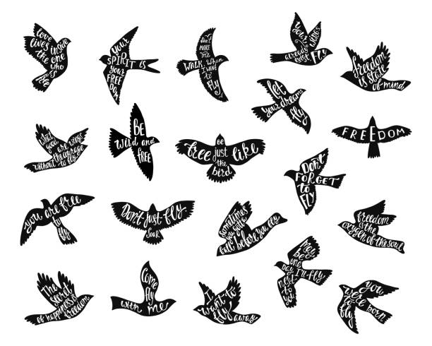 Set of bird's silhouettes with handwriting inspirational quotes. Hand drawn typography motivation sayings. Set of bird's silhouettes with handwriting inspirational quotes. Hand drawn typography motivation sayings. Flying birds bundle. Vector cliparts isolated on white background. handwriting font not script stock illustrations
