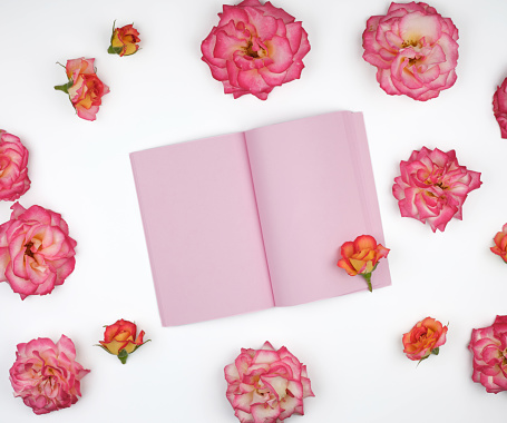 open notebook with pink blank pages on a white background and pink roses, top view