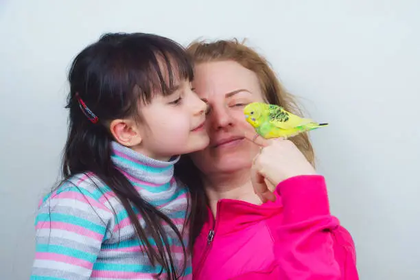 Photo of mother and daughter communicate with their tame yellow parrot.