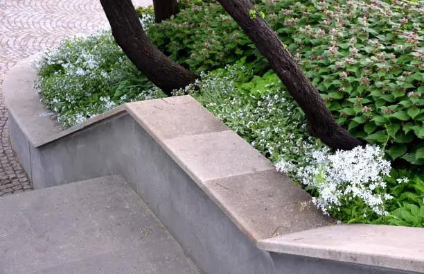 Photo of concrete retaining wall at the large staircase in the park the flowerbed area is planted with rich greenery of perennials granite paving of cubes