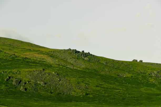 Soft hills with green grass under cloudy sky