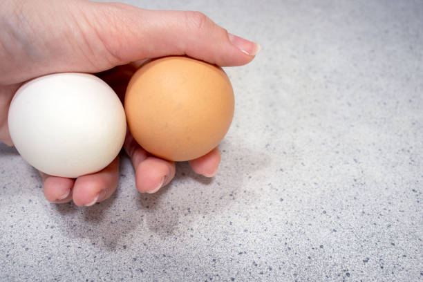 Two chicken eggs in hand. Food concept.