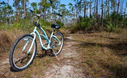 Bike Parked On Dirt Trail in Florida everglades