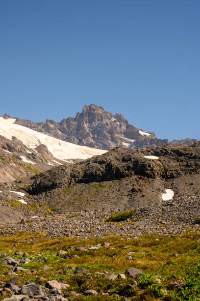 istock Brown Field in Alpine Meadow in Montana 1223009963