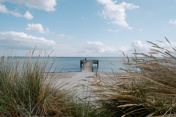 istock Footbridge on natural looking beach 1223010086