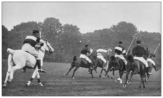 Antique black and white photograph of sport, athletes and leisure activities in the 19th century: Polo