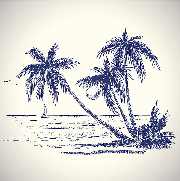 summer holiday tropical island hand-drawn illustration of an island with palm trees and ocean beach drawings stock illustrations