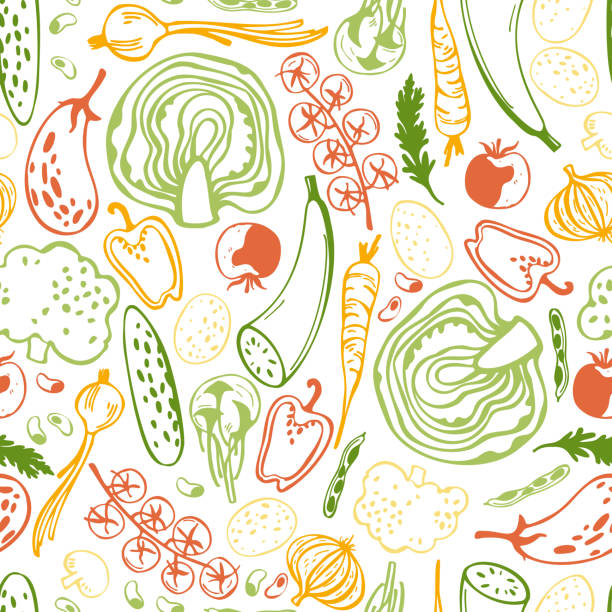 ręcznie rysowane stylizowane warzywa. wzór wektorowy. - zucchini vector vegetable food stock illustrations