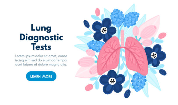 istock Vector healthy lungs on flowers. Background for label, advertisement of pulmonary medicine, landing or banner 1223013439