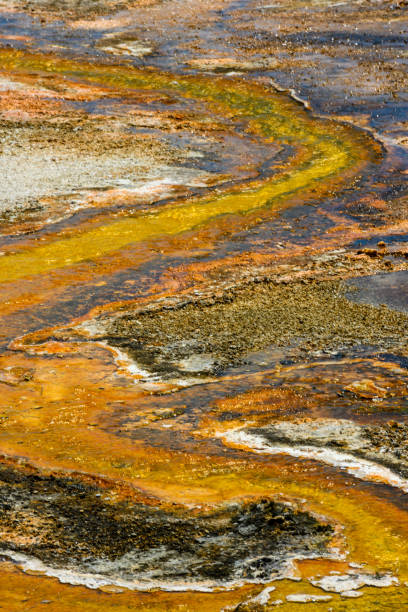 istock Stream of Colorful Runoff from Hot Spring 1223014579