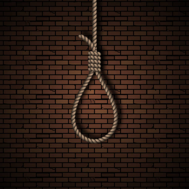 Loop from a rope Loop from a rope. The gallows of the tent against the background of a brick wall. Concept of murder.Vector illustration. rope tied knot string knotted wood stock illustrations