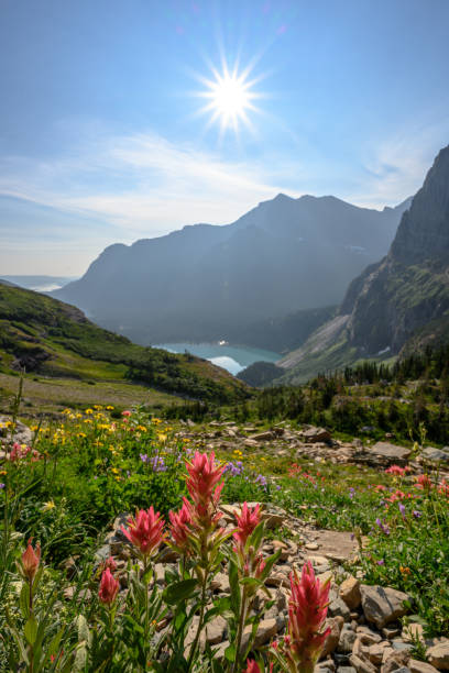 istock Sunburst And Grinnell Glacier Below Wild Flowers 1223014794