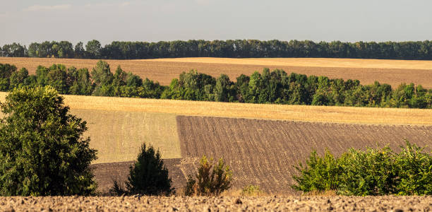 istock Fields in the hills after harvesting. Landscape with blue sky. 1223015562