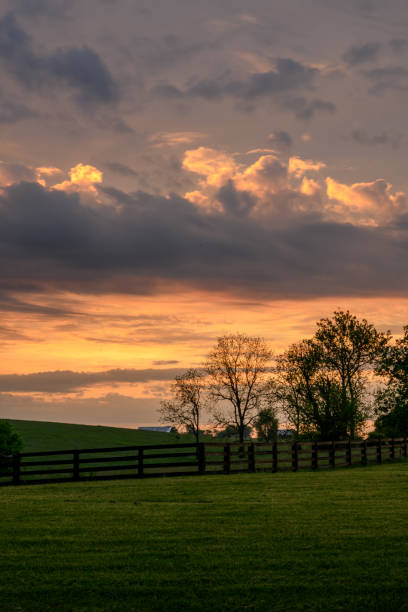 istock Sunrise Over Keeneland Grounds 1223015737