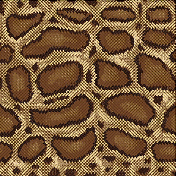 Boa Python Patterns 40+ Boa Constrictor Backgrounds Illustrations, Royalty-Free Vector ...