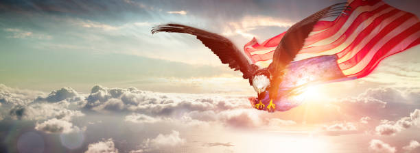 eagle con bandera americana ondeando sobre las nubes - volar fotos fotografías e imágenes de stock