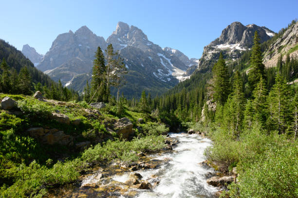 istock Teton Mountains Loom Over Rushing River 1223016146