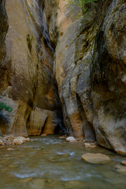 istock Virgin River Continues To Cut Path Into The Narrows 1223016333