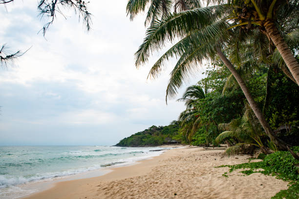 istock Thailand. Calm beach. White sand. Green tropical vegetation. 1223017346