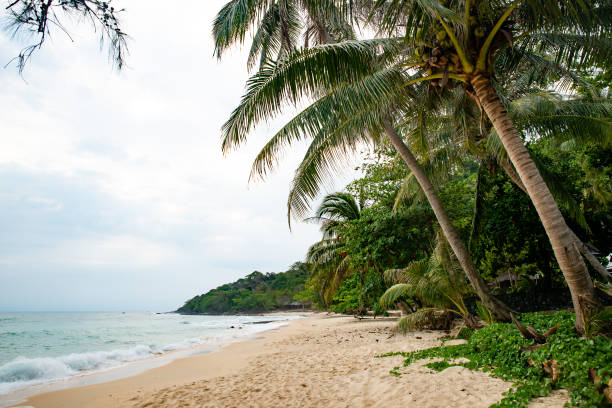 istock Thailand. Calm beach. White sand. Green tropical vegetation. 1223017467