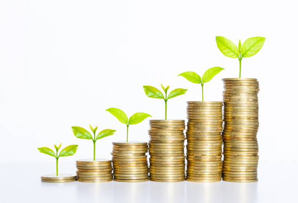 coin stack money saving concept. green leaf plant growth on rows of coin on white background. money matters tips to investment and business financial banking for Financial Wellness. coin stack money saving concept. green leaf plant growth on rows of coin on white background. money matters tips to investment and business financial banking for Financial Wellness. deposit bottle stock pictures, royalty-free photos & images