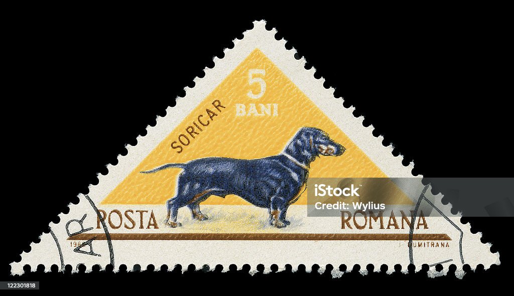 Romanian  post stamp Romiania - CIRCA 1965: A post stamp printed in Romania shows dachshund, circa 1965. Dog Stock Photo