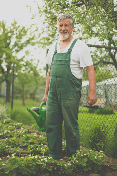 istock Senior man gardening in his garden 1223018372