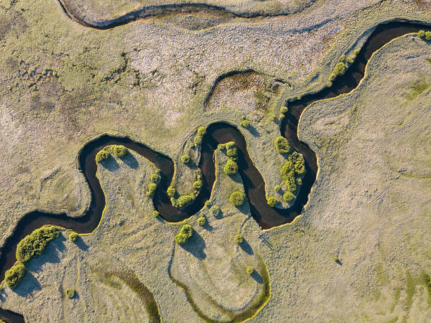 istock A stream meanders through a green valley, with natural twists and curves. Meandering watercourse Top view. Aerial view of the beautiful landscape. Green field. 1223019962