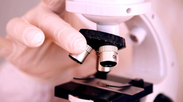 istock Focus on a microscope handling by a person 1223022325