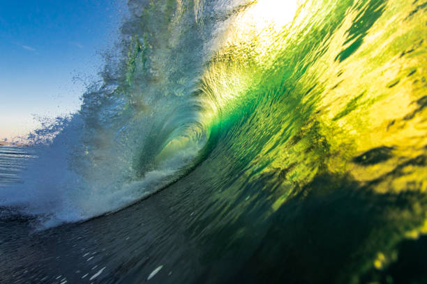 istock Green and gold breaking wave in the sea during morning light 1223024989