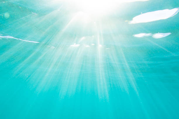 istock Light rays from the sun penetrating the ocean surface in a clear blue underwater scene 1223025114