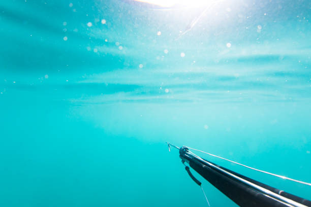 istock Speargun in clear blue turquoise waters 1223025718