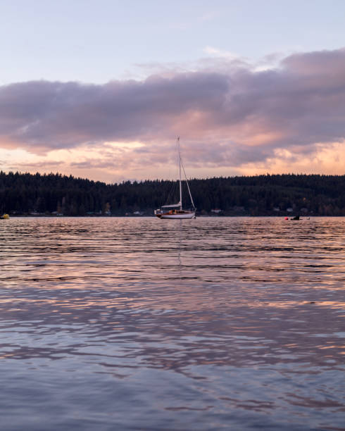 istock Puget Sound Sailboat Sunset 1223025733