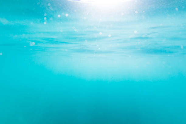 istock Light rays from the sun penetrating the ocean surface in a clear blue underwater scene 1223025790