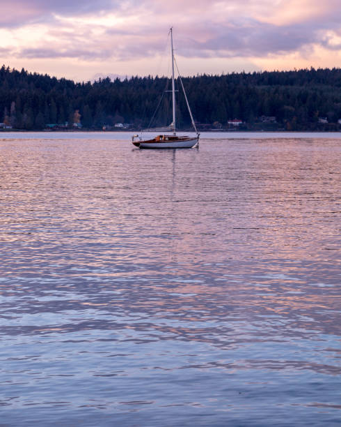 istock Puget Sound Sailboat Sunset 1223026918