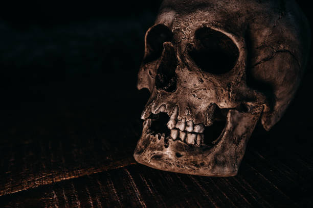 istock Skull of the human on a black background 1223028689