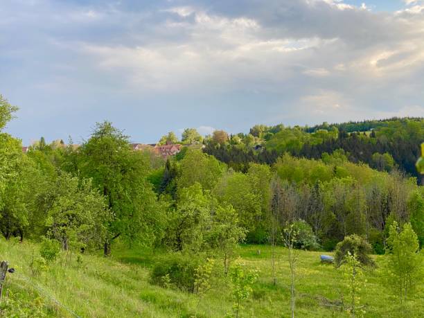 istock Village in the forest 1223029939